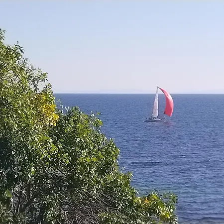 מלון Boutique St. Stefan 3*