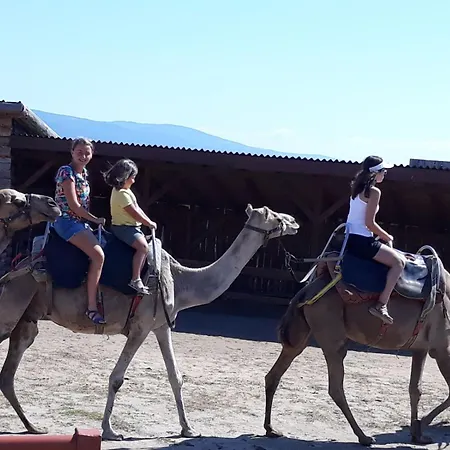 Family St Stefan 3* Несебр