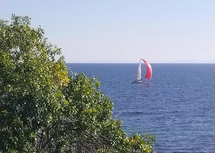 Ξενοδοχείο Boutique St. Stefan 3*